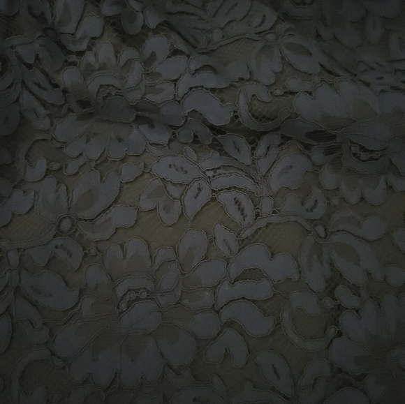 Tahari Navy Lace Dress - Picture 5 of 12